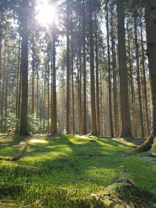 Gite N° 20, En Pleine Nature, Frontalier Signy-le-Petit Екстер'єр фото